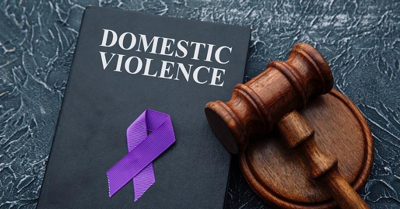 Schreier & Housewirth Family Law in Fort Worth, TX - Image of Domestic Violence Book